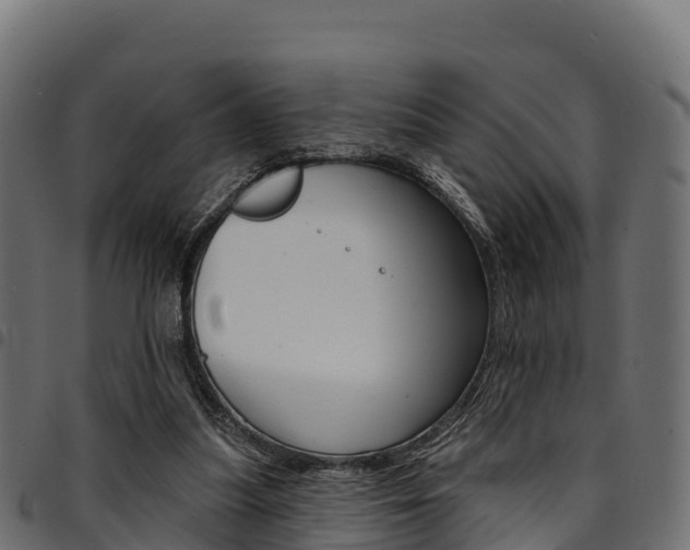 X0000094960251200711291134