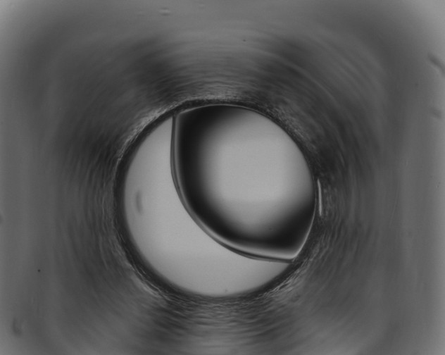 X0000094960252200711291134
