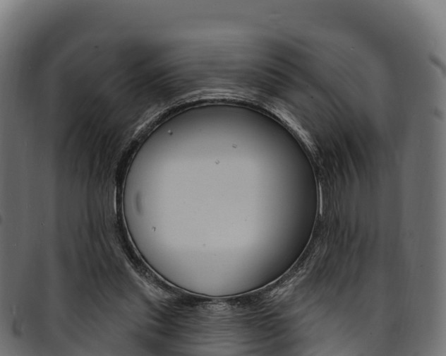 X0000094960253200711291134