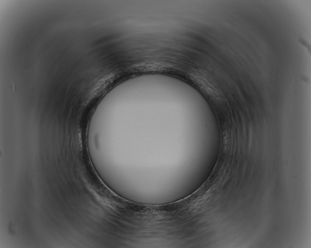 X0000094960254200711291134