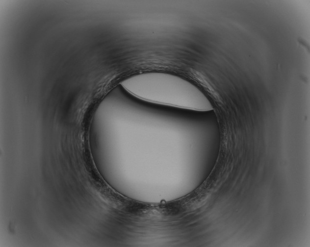 X0000094960259200711291134