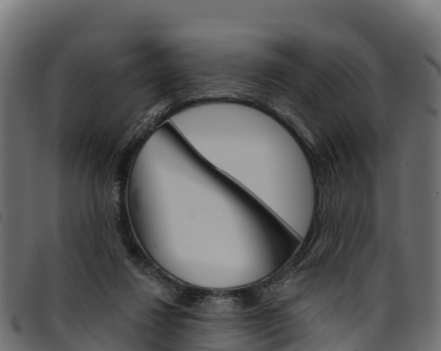 X0000094960260200711291134