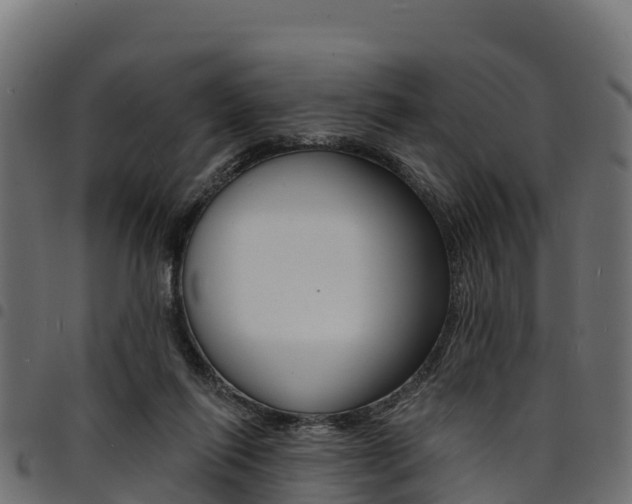 X0000094960262200711291134