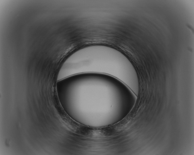 X0000094960264200711291134