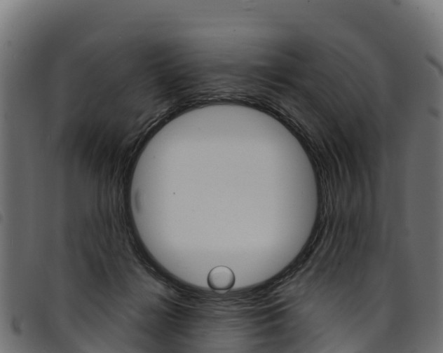 X0000094960268200711291134