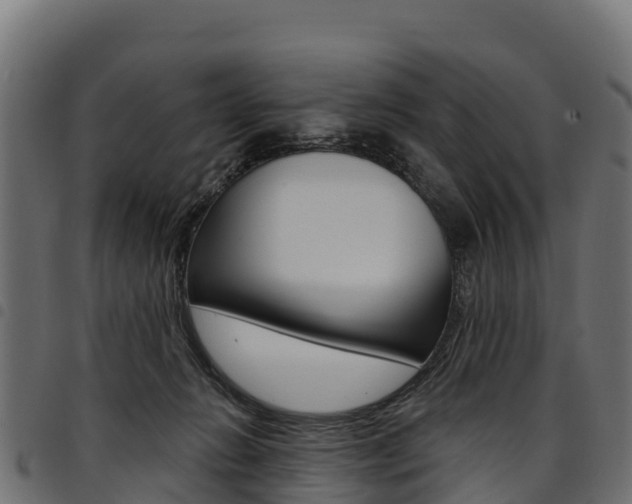 X0000094960270200711291134