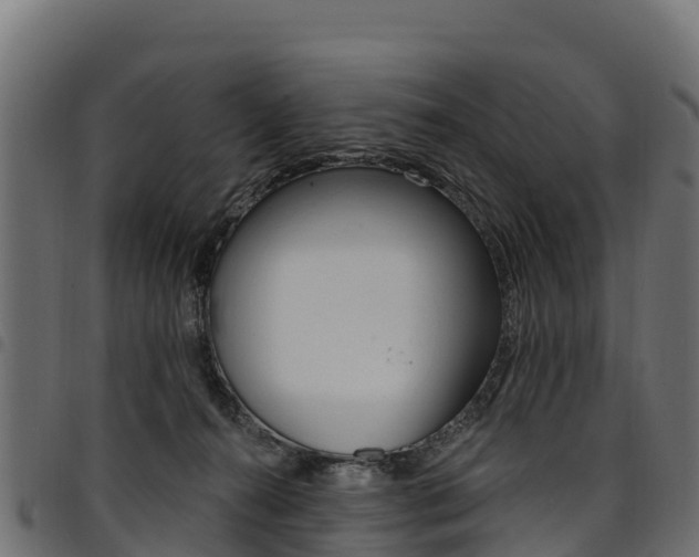 X0000094960272200711291134