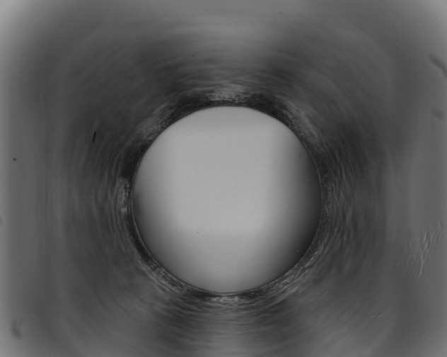 X0000094960273200711291134