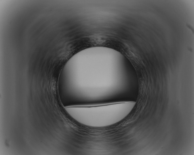 X0000094960274200711291134
