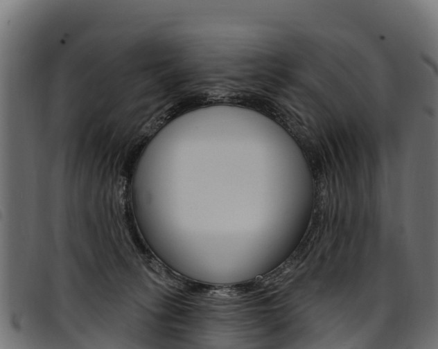X0000094960275200711291134