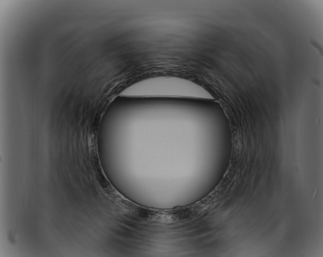 X0000094960276200711291134