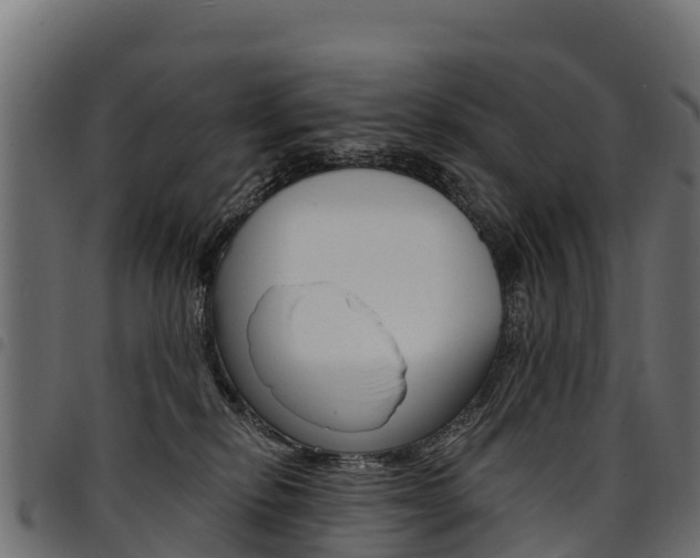 X0000094960278200711291134