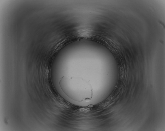 X0000094960279200711291134