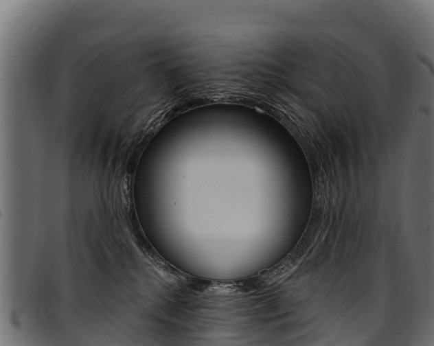 X0000094960280200711291134
