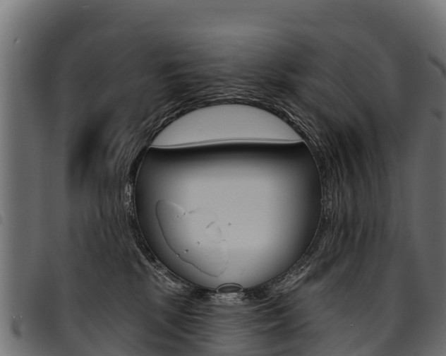 X0000094960281200711291134