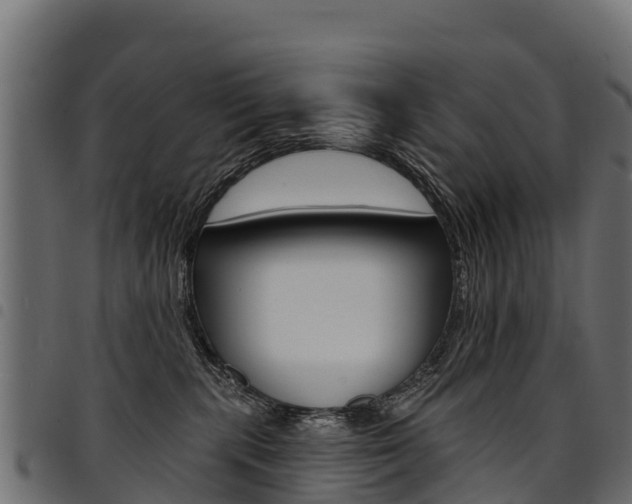 X0000094960283200711291134