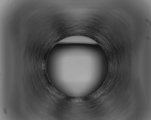 X0000094960284200711291134