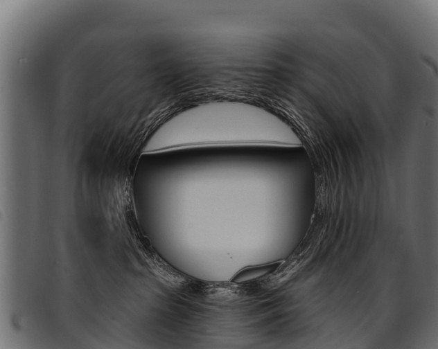 X0000094960285200711291134