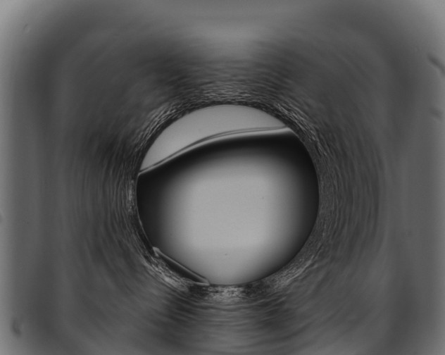 X0000094960288200711291135