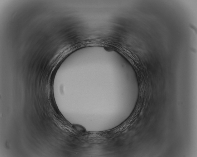 X0000094960290200711291134