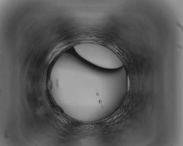 X0000094960291200711291134