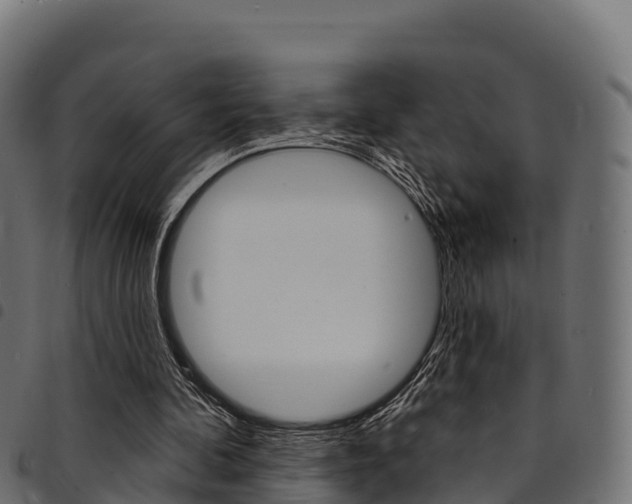 X0000094960292200711291134