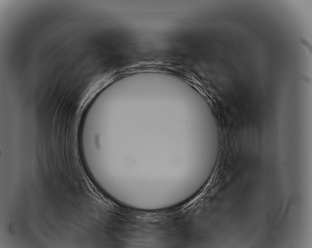 X0000094960293200711291134