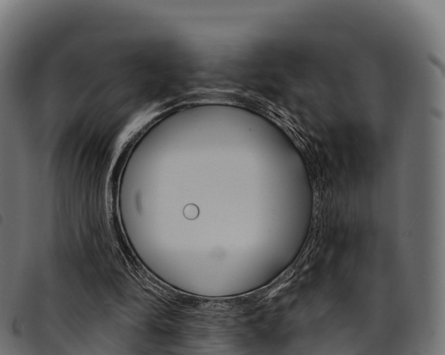 X0000094960294200711291134