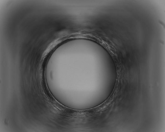X0000094960295200711291134