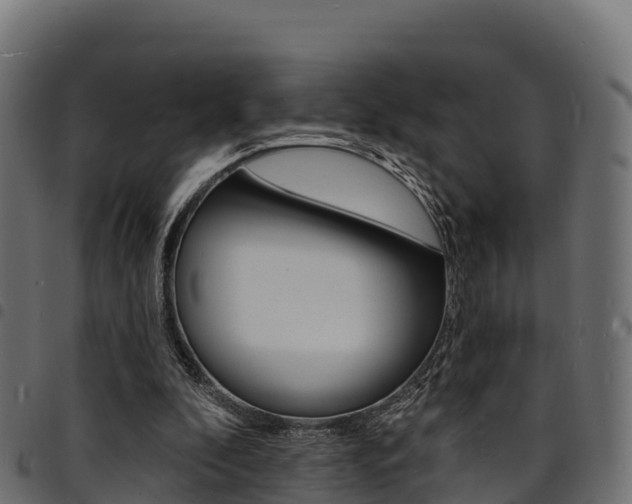 X0000094960296200711291134
