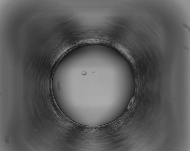 X0000094960297200711291134