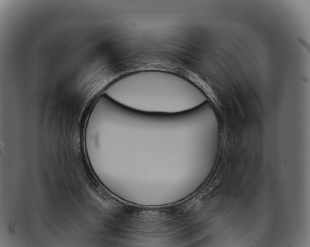 X0000094960298200711291134