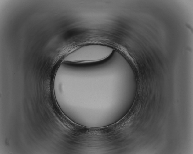 X0000094960299200711291134