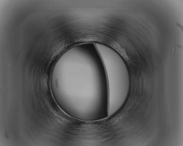 X0000094960300200711291134