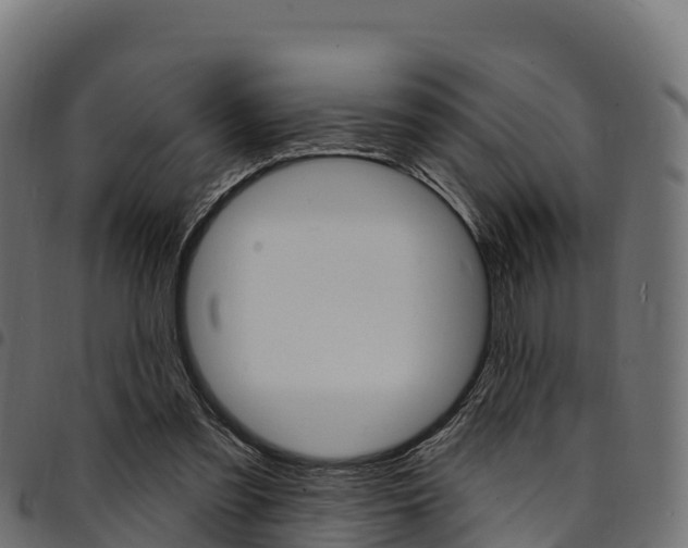 X0000094960301200711291134