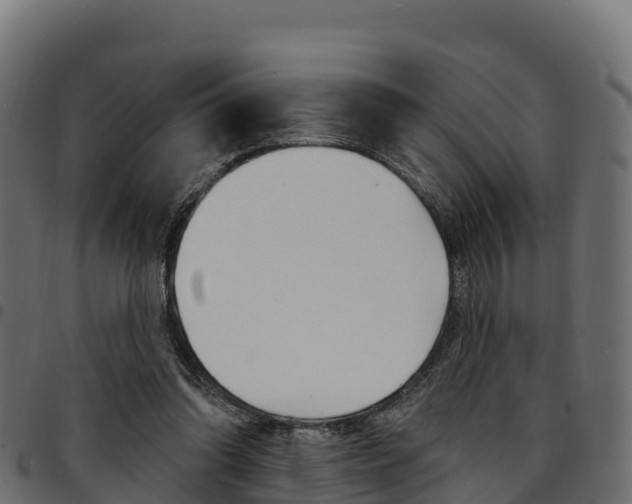 X0000094960302200711291134