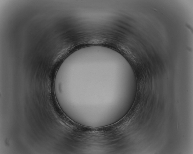 X0000094960303200711291134