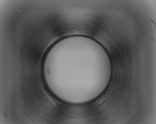 X0000094960304200711291134