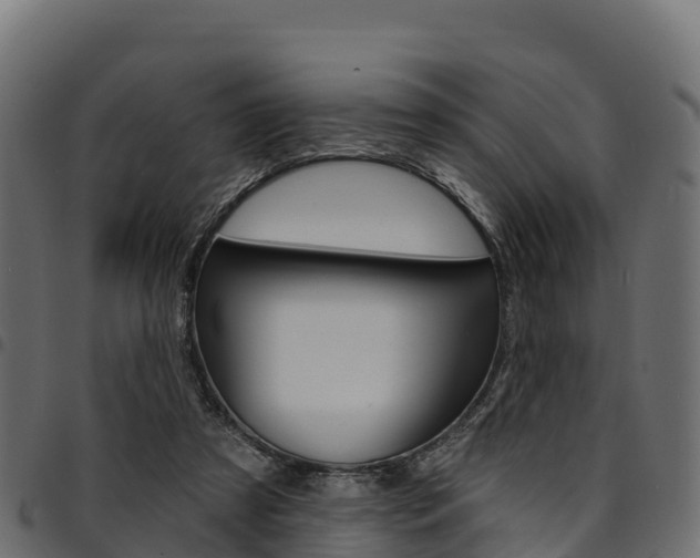 X0000094960305200711291134