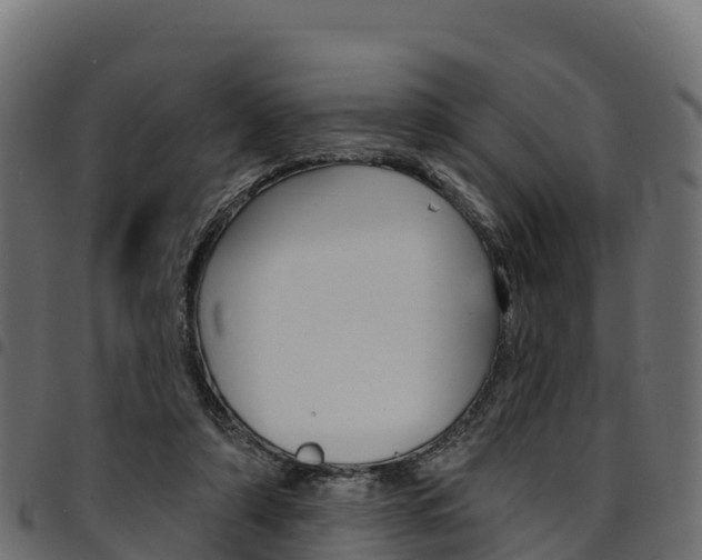 X0000094960306200711291134
