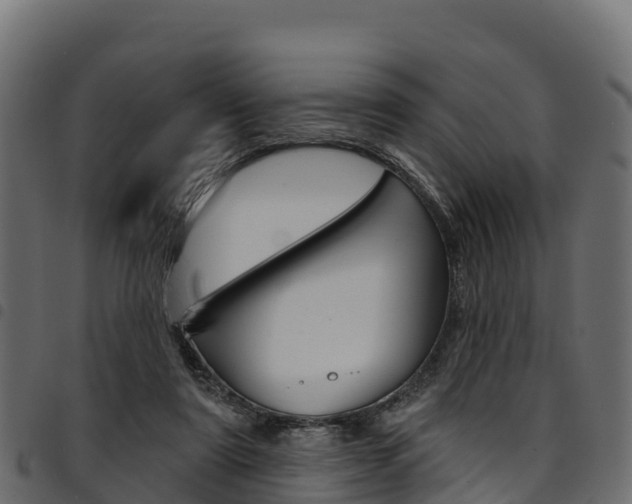 X0000094960307200711291134