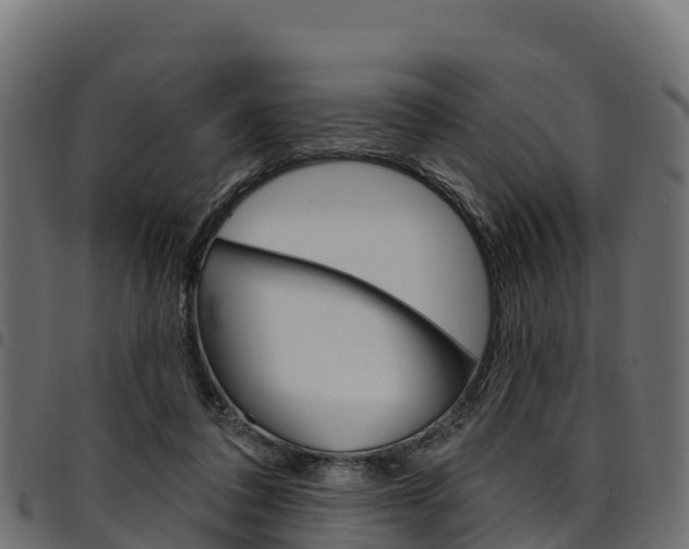 X0000094960308200711291133