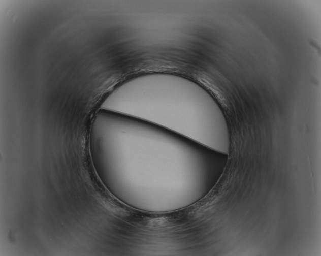 X0000094960309200711291133