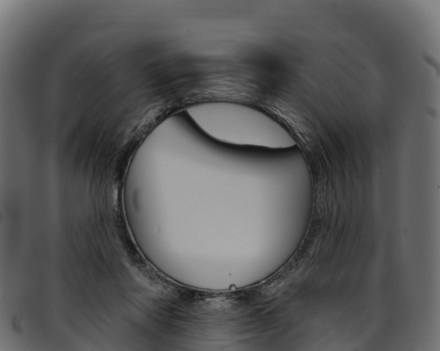 X0000094960310200711291133