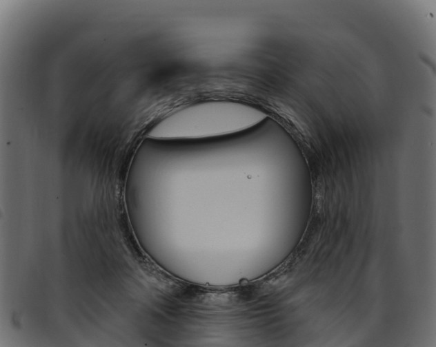 X0000094960314200711291133