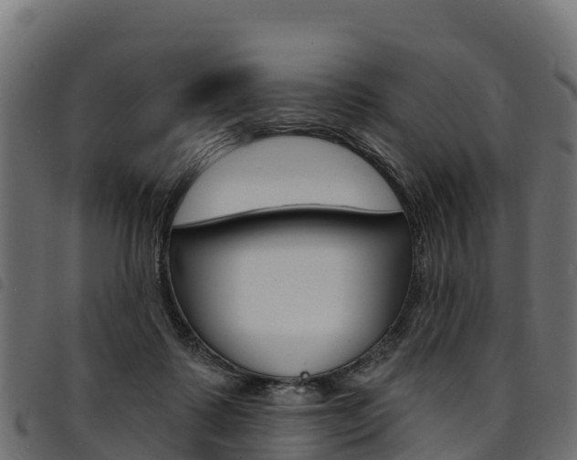 X0000094960315200711291133