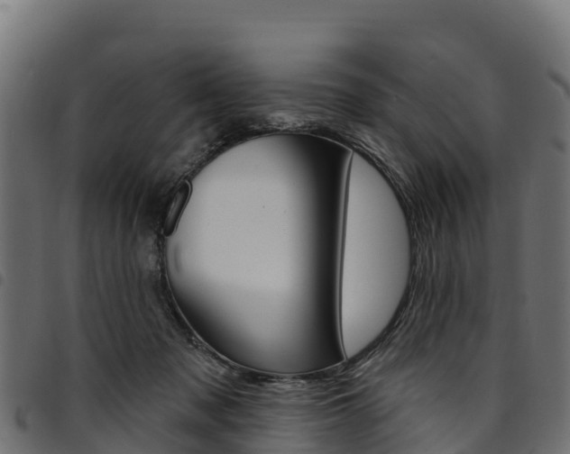 X0000094960317200711291133