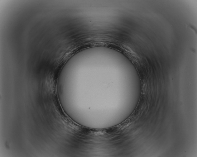 X0000094960318200711291133