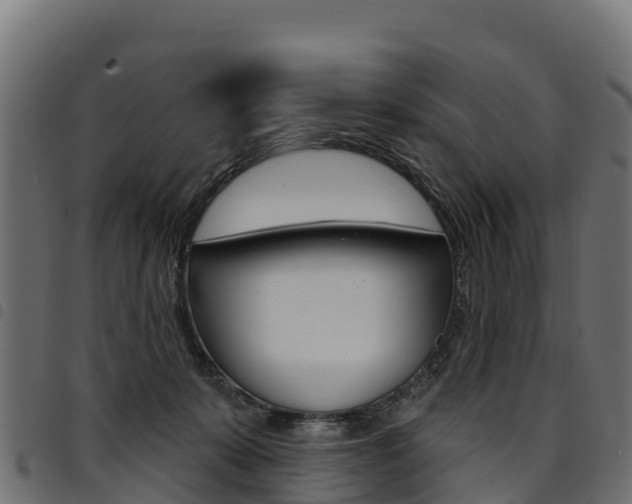 X0000094960319200711291133