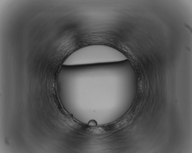 X0000094960322200711291133